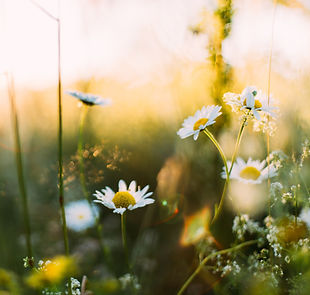 tennessee morning, poetry, ruah, a tennessee morning poem